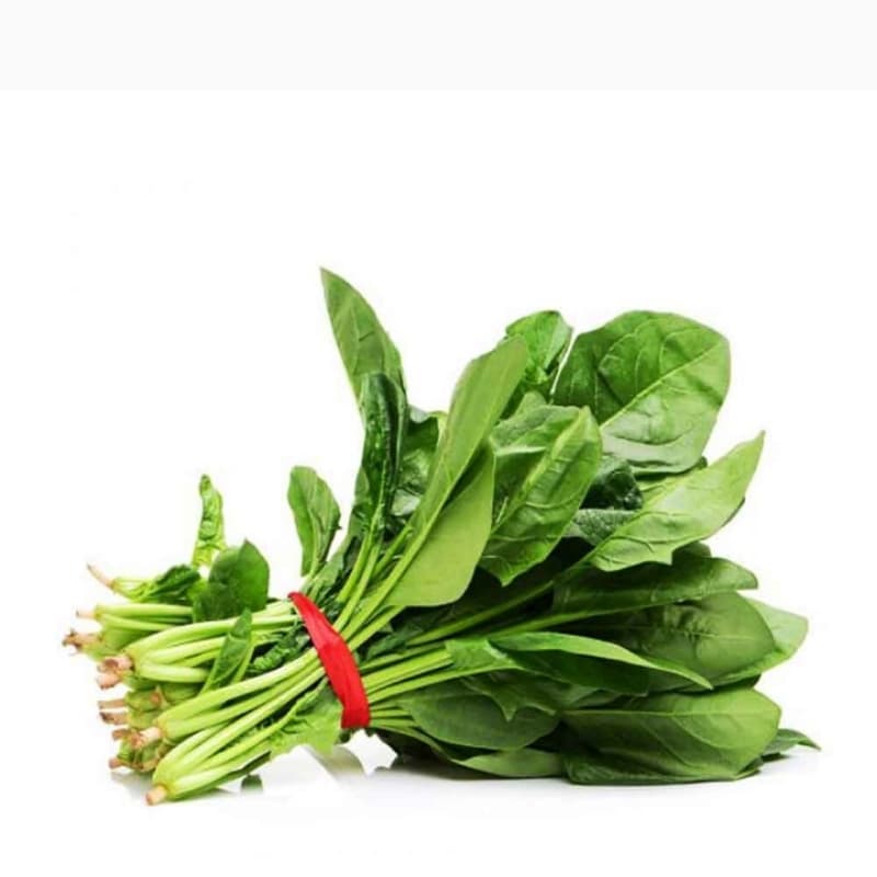 spainach fresh ( palik )